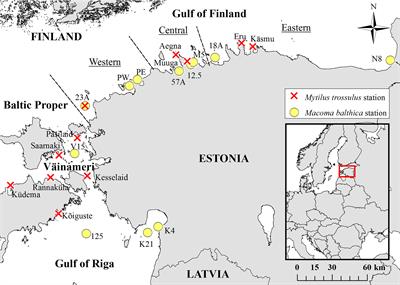 Novel Fish Predator Causes Sustained Changes in Its Prey Populations